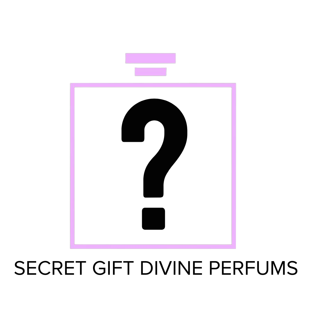SECRET GIFT FOR MEN 3.4 OZ EAU DE PARFUM